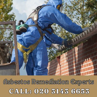 Asbestos Remediation Experts Tattenham Corner