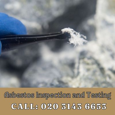 Comprehensive Asbestos Inspection and Testing Services in Tattenham Corner